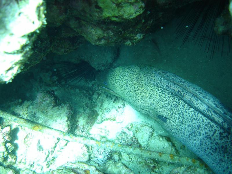 06 EG 019.JPG